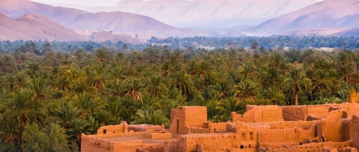 CIRCUIT SUD MAROCAIN | du 31 Mars au 07 Avril 2026