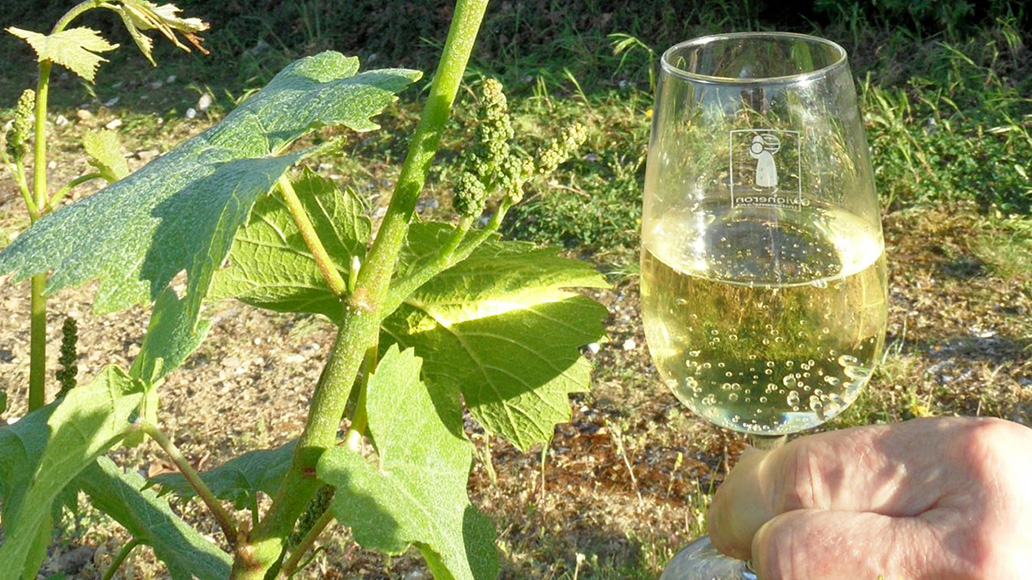 Champagne J. MARGOUILLAT Noël 2025