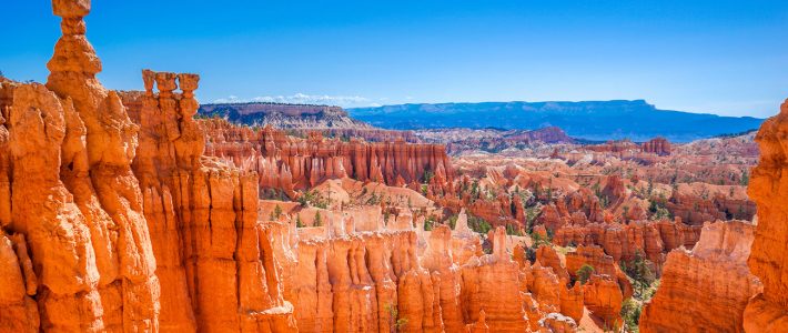 Circuit USA – « DÉCOUVERTE DE L’OUEST » | du 07 Octobre au 18 Octobre 2026