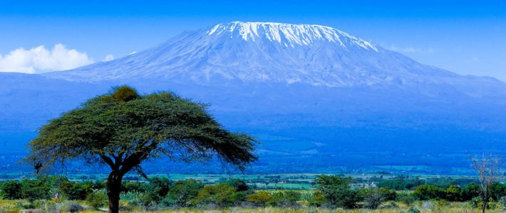 Circuit TANZANIE – Les 3 Grands Parcs du Nord | du 31 mai au 08 juin 2027