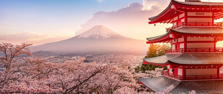 Circuit JAPON – « Entre tradition et modernité » | du 07 mars au 16 mars 2027